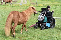 Formation et rencontre Cheval et Diversité